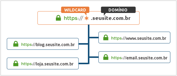 Wildcard DV